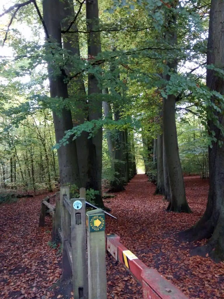 High Elms Country Park Beeche Bromley Parks