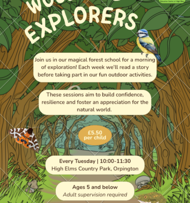 Woodland Explorers | Toddler Group
