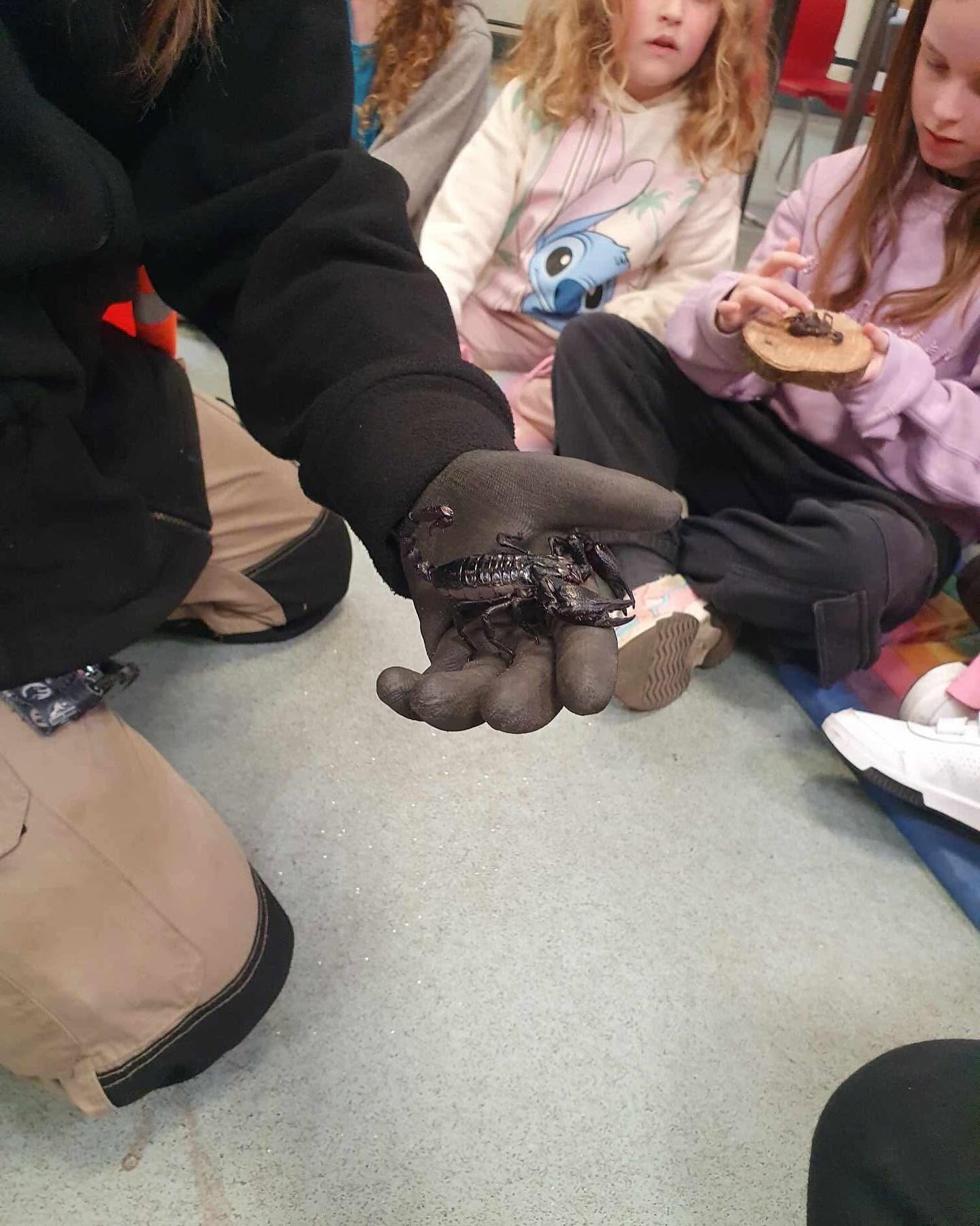 Bug Handling & Bug Hunting - Image 6