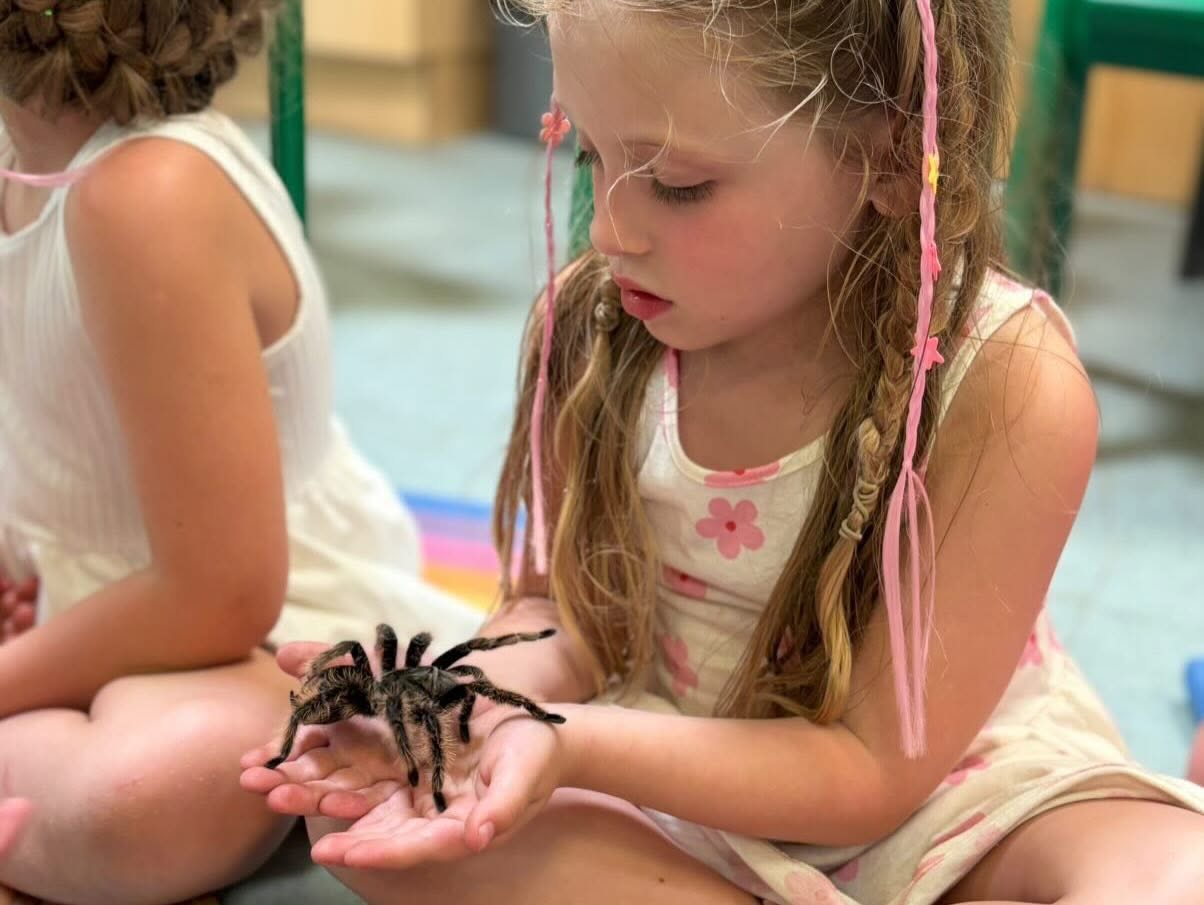 Bug Handling & Bug Hunting - Image 2