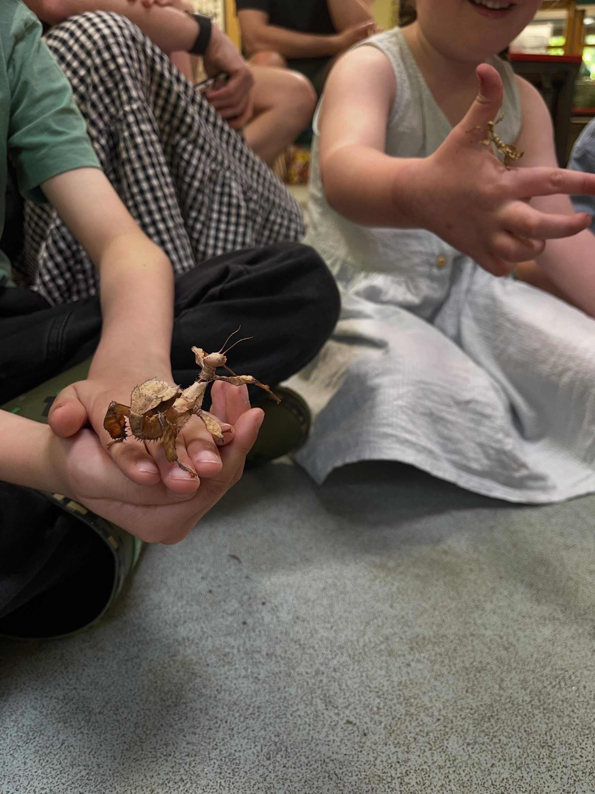 Bug Handling & Bug Hunting - Image 5