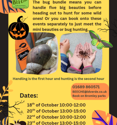 Bug Handling & Bug Hunting