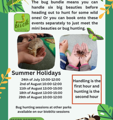 Bug Handling & Bug Hunting