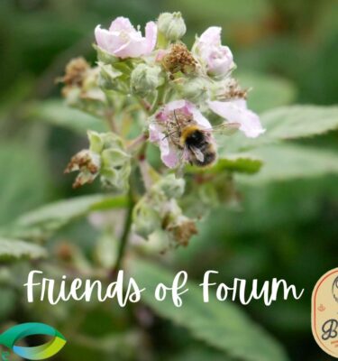 Friends Forum