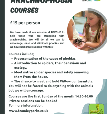 Arachnophobia Course