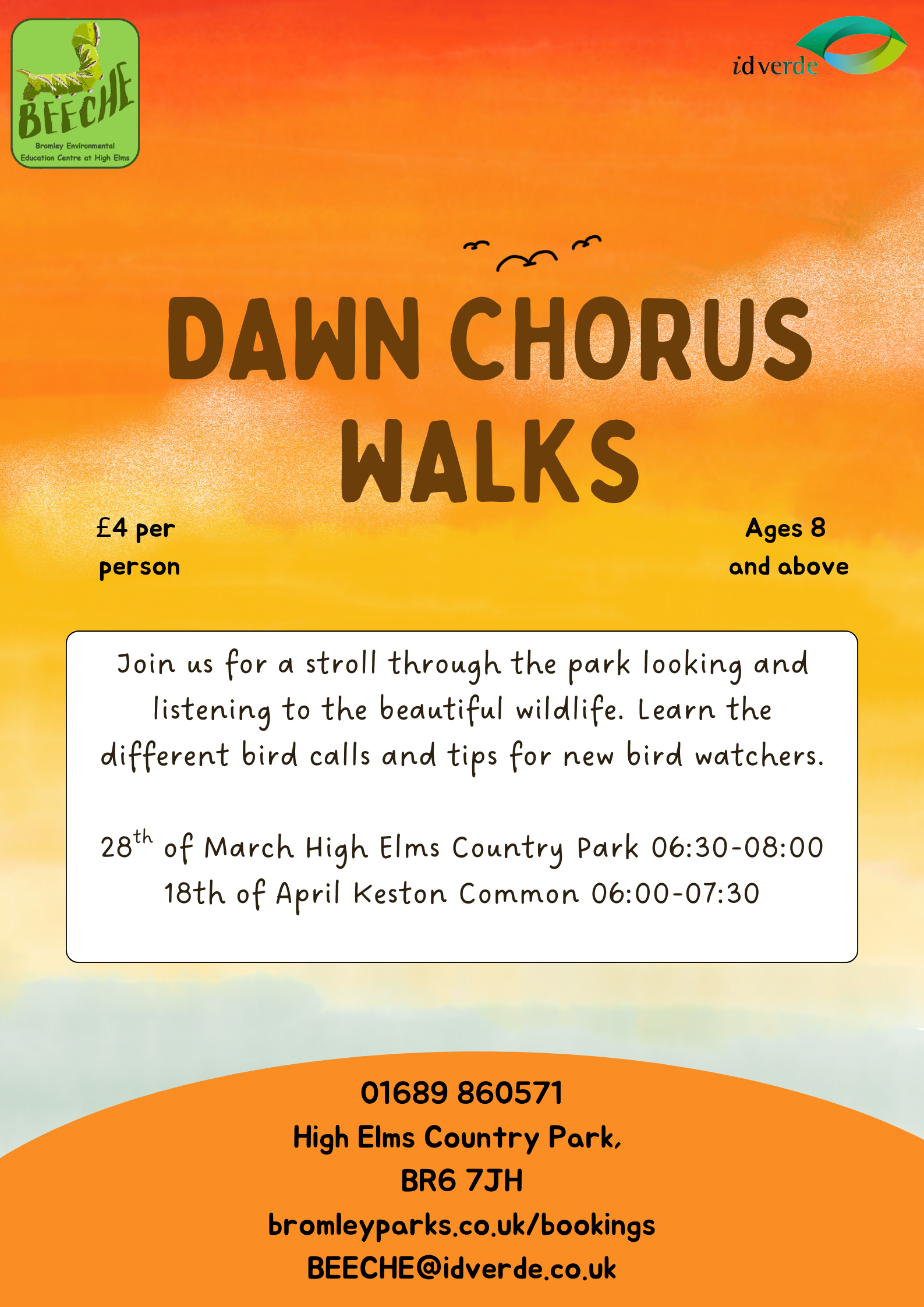 Dawn Chorus (1)