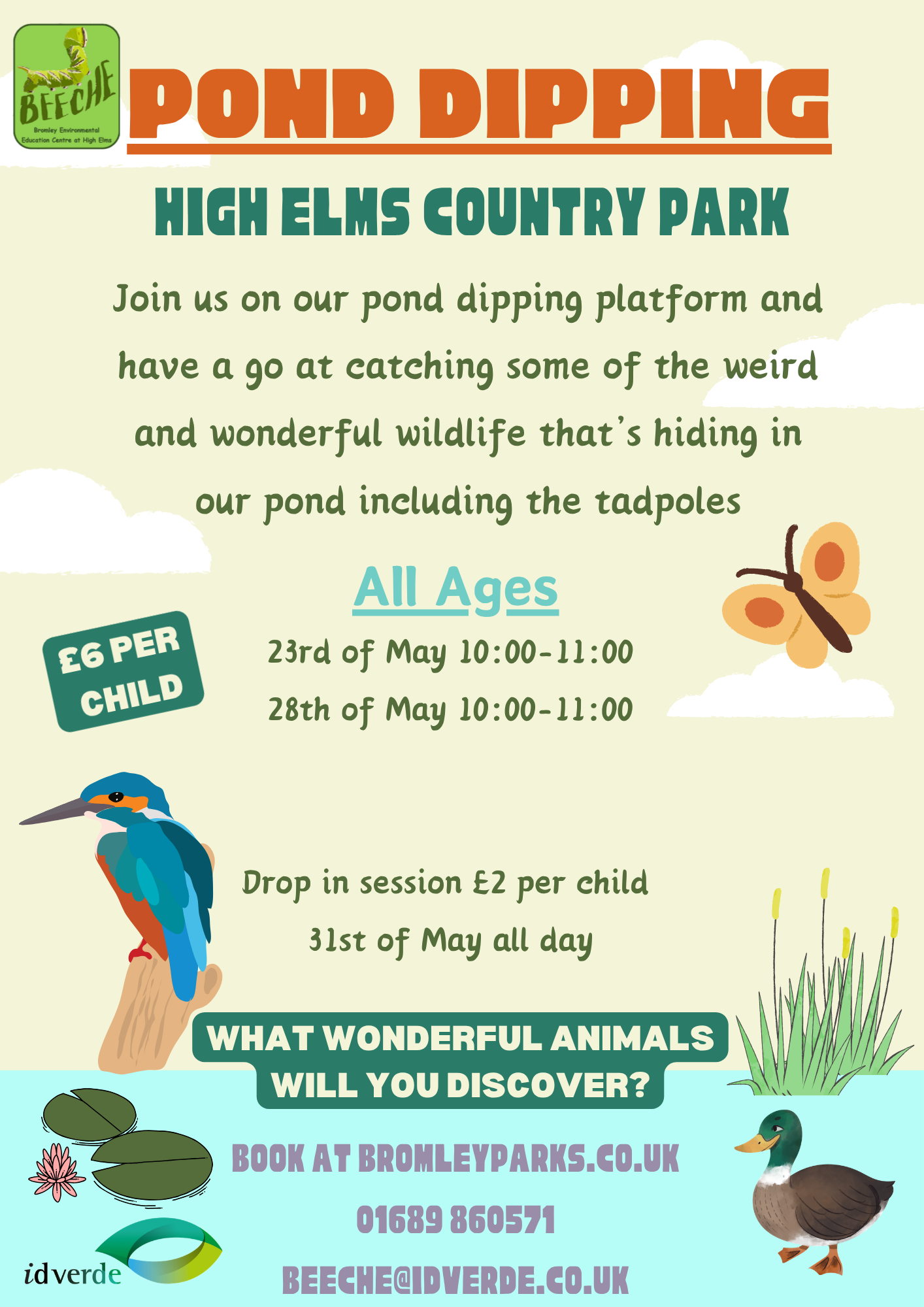 Pond Dipping Poster (5)