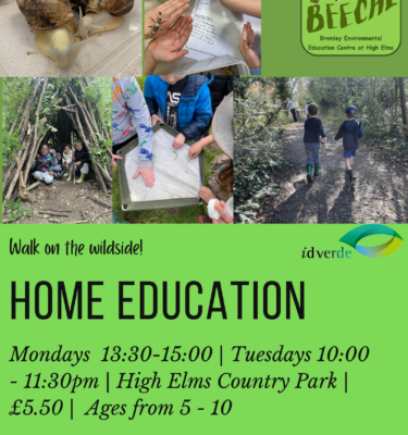 Home Education Group