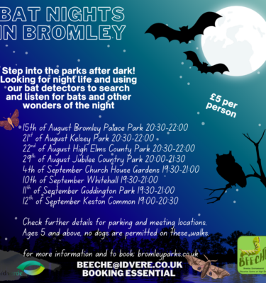 Guided Bat Walks