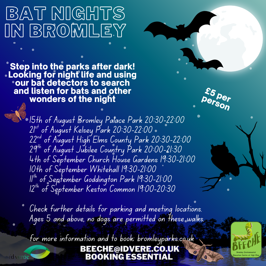 Guided Bat Walks