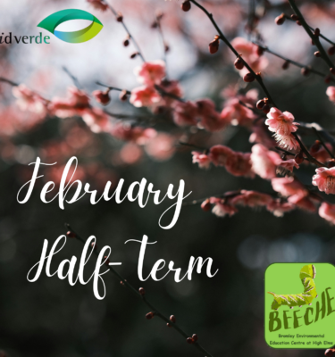 February Half-Term