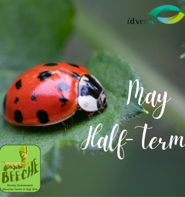 May Half-Term