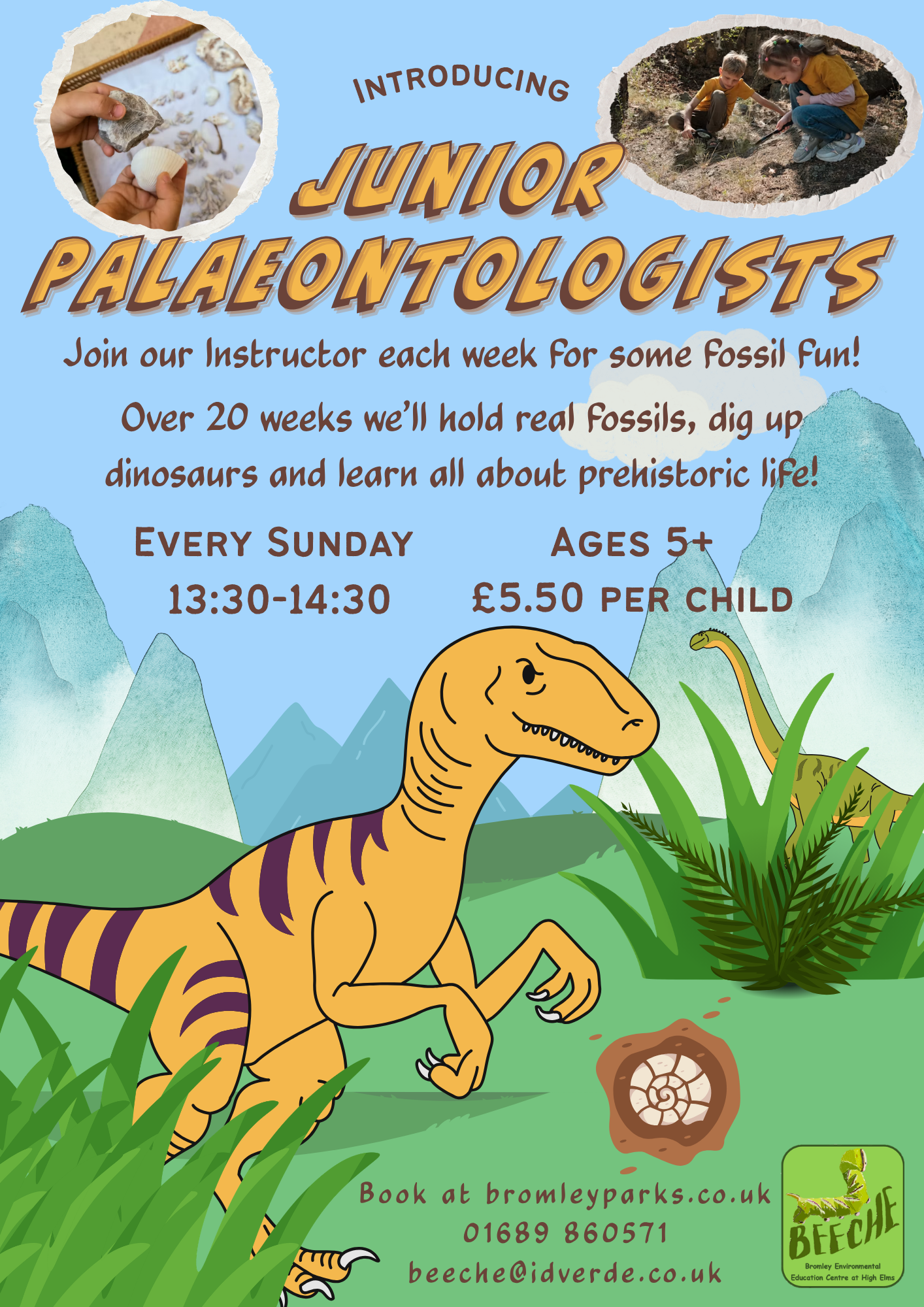 Junior Palaeontologists