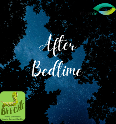 After Bedtime