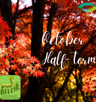 October Half-Term