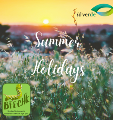 Summer Holidays