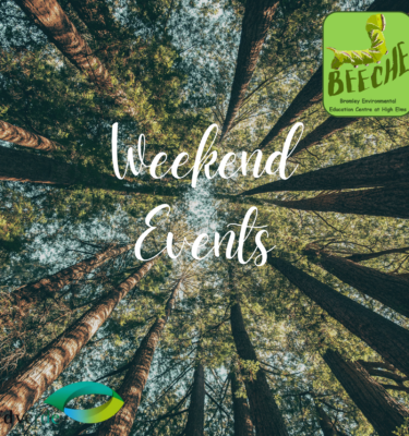 Weekend Events