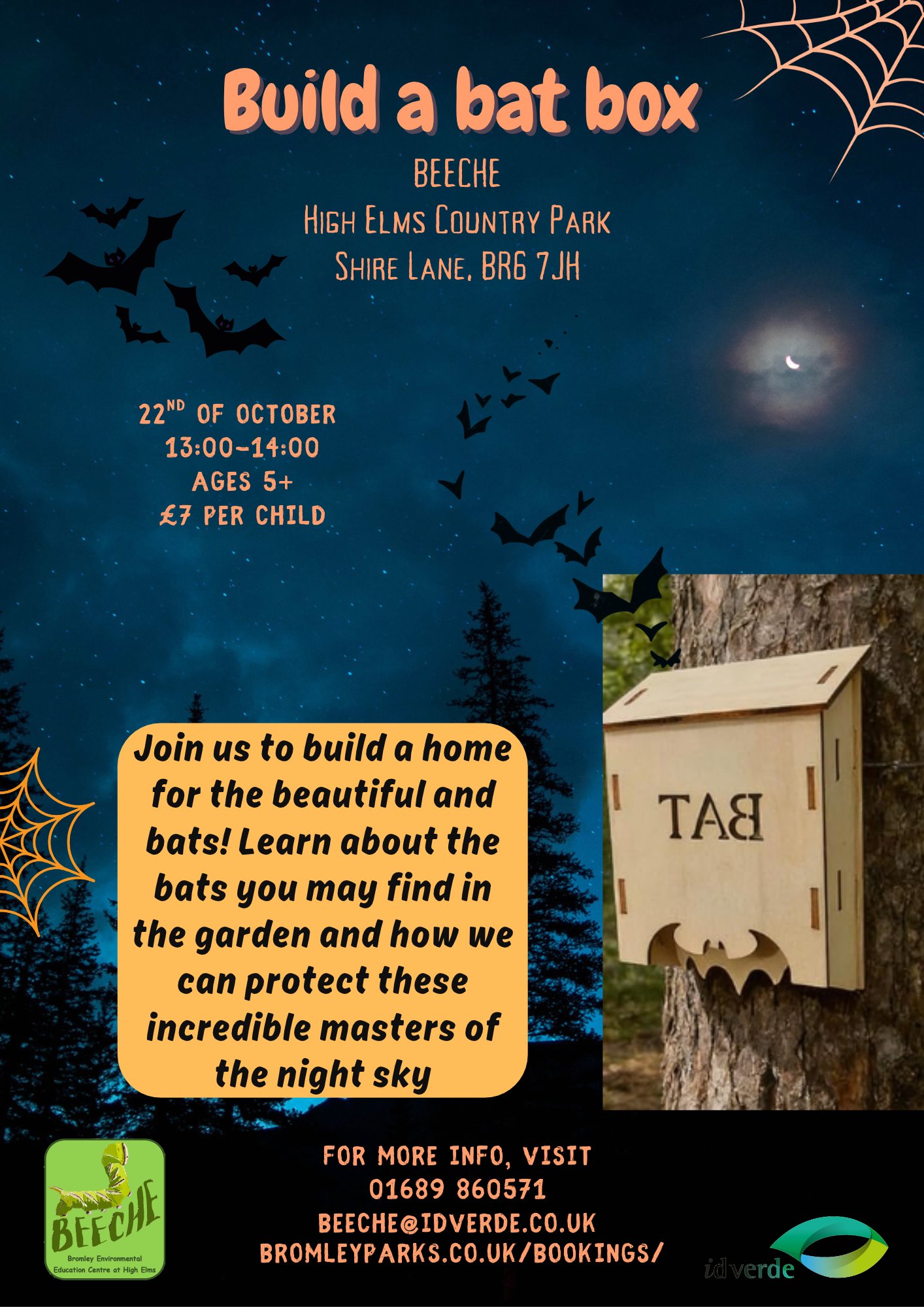 Build a Bat Box
